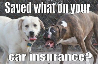 saved car insurance